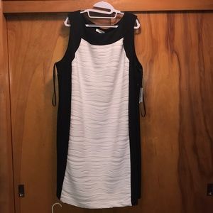 Calvin Klein black and white sheath dress NWT
